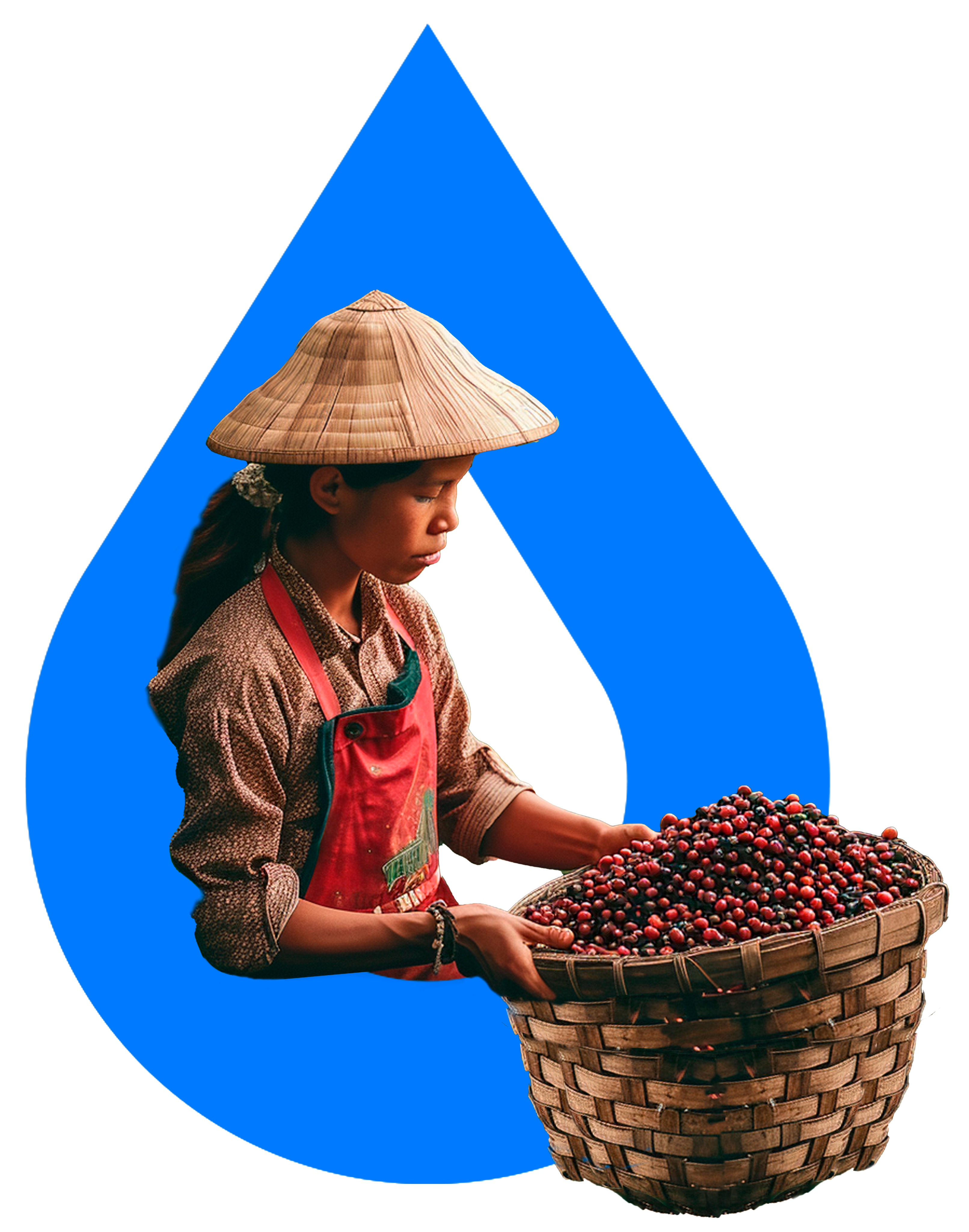 Nhà cung cấp coffee kopic.vn